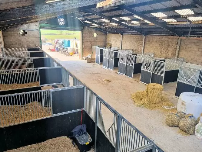 Horse stables