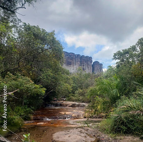 Santuário natural off-grid