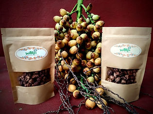 preservação flora e fauna- bahia