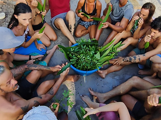 escola da natureza- bahia