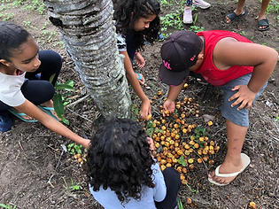 desenvolvimento sustentável - Chapada Diamantina