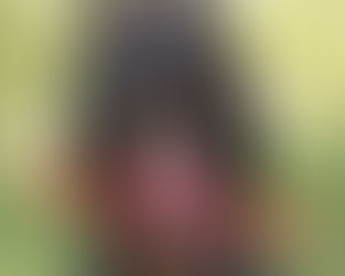 Zahnprobleme beim Hund