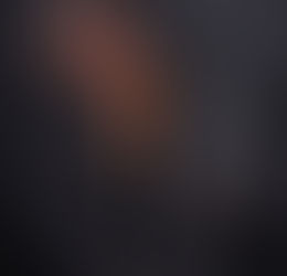 Der Gordon Setter