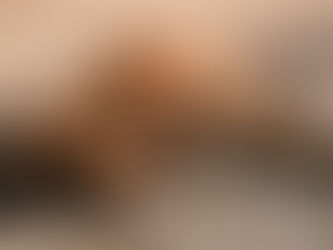 Körpertemperatur bei Hunden