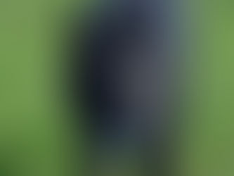 Trick: Gegenstände aufheben