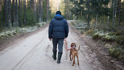 Person geht mit Hund auf Waldweg
