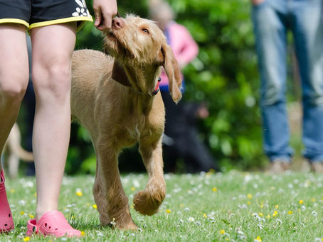 Positive Assoziation