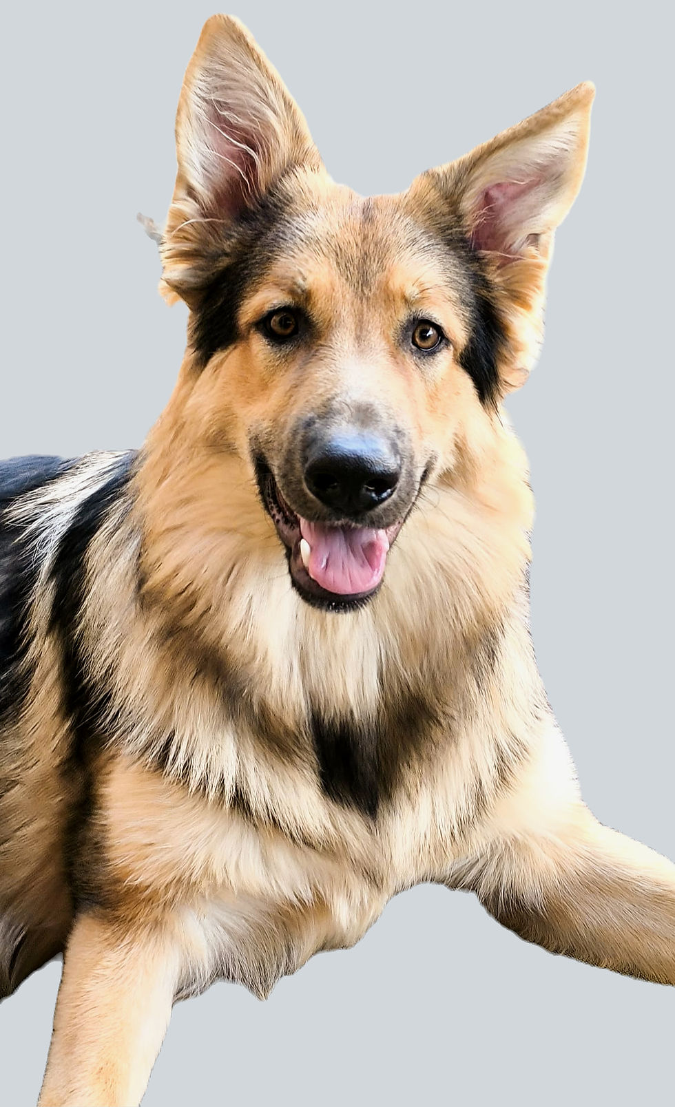 ree