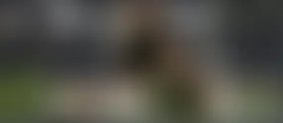 Die Ausdauerprüfung (AD)