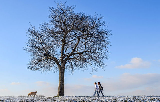 Winterblues