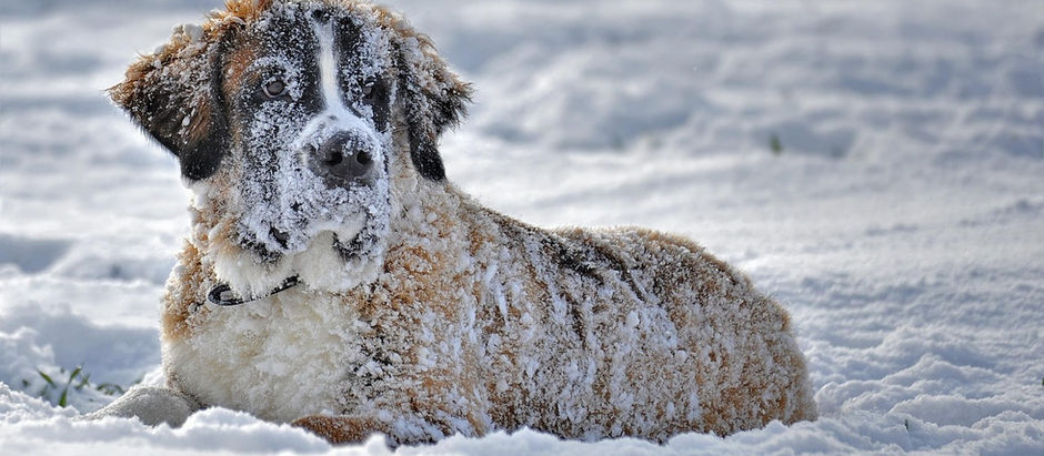 Unterkühlung (Hypothermie)