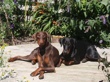 Konsequenz gegenüber Strenge