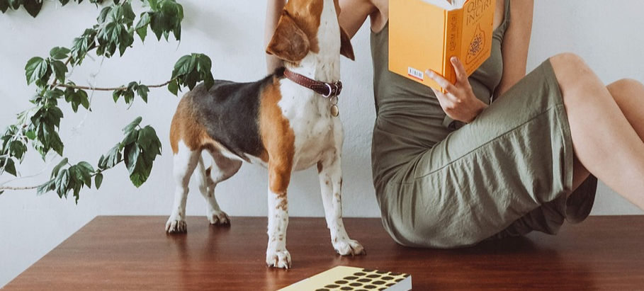 Nachahmungsverhalten bei Hunden