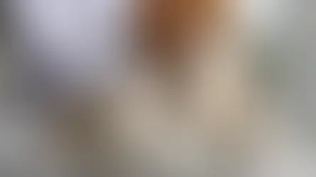 Verdauungstrakt und Harnsystem