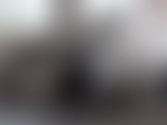 Grundlagen Welpengehirn