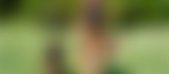 Zusammenführen von Welpe und erwachsenen Hund!