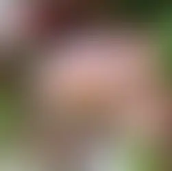 Bowl Hidratante con Nuun Sandía