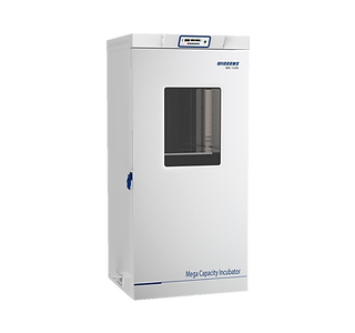 אינקובטורים טמפ' קבועה