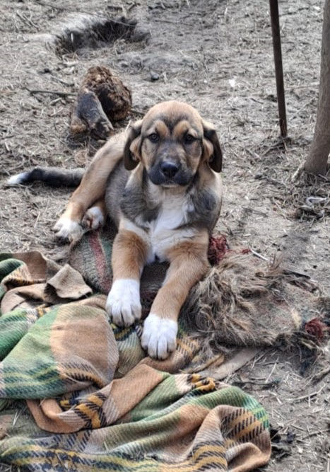 WhatsApp Image 2026-02-13 at 10.23.18 (2).jpeg