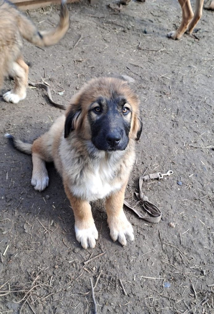 WhatsApp Image 2026-02-13 at 10.23.57 (2).jpeg