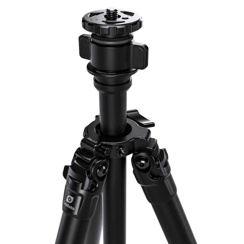 Thumbnail: Leofoto LG-284C Silver 4 Section Water Resistant Carbon Fibre Tripod