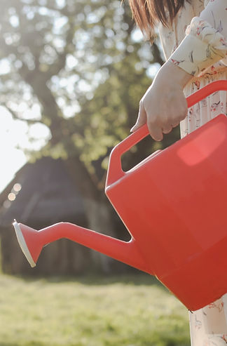 Young female gardener watering the plant