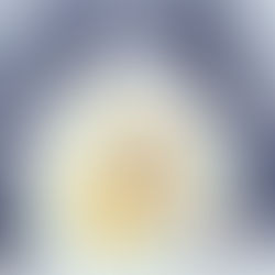 気が付くとまた冬がやって来ている。