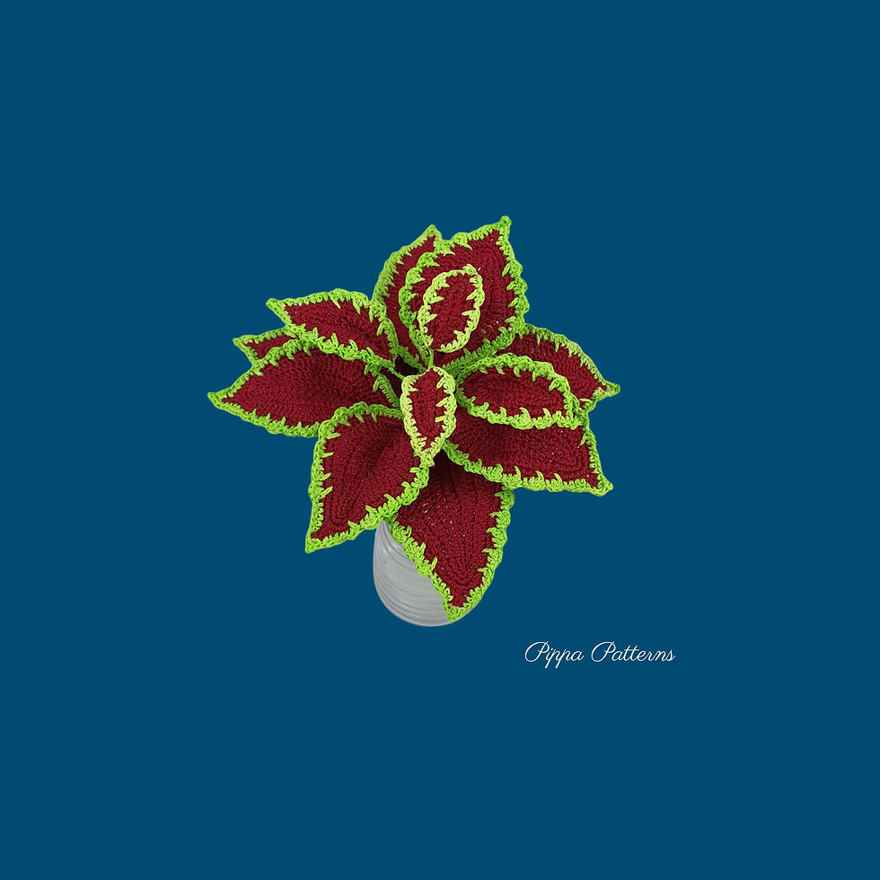Thumbnail: Coleus Red