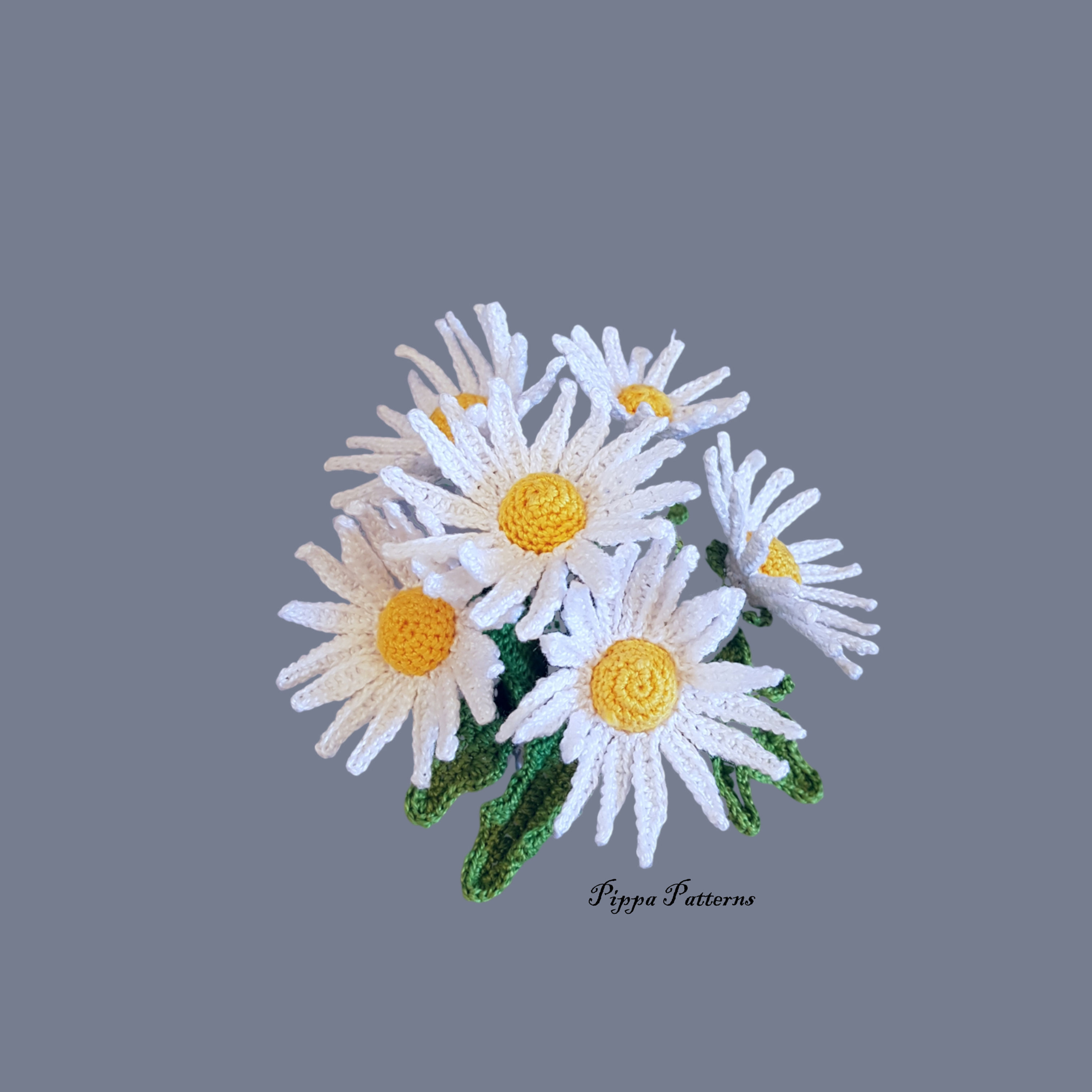 Daisy