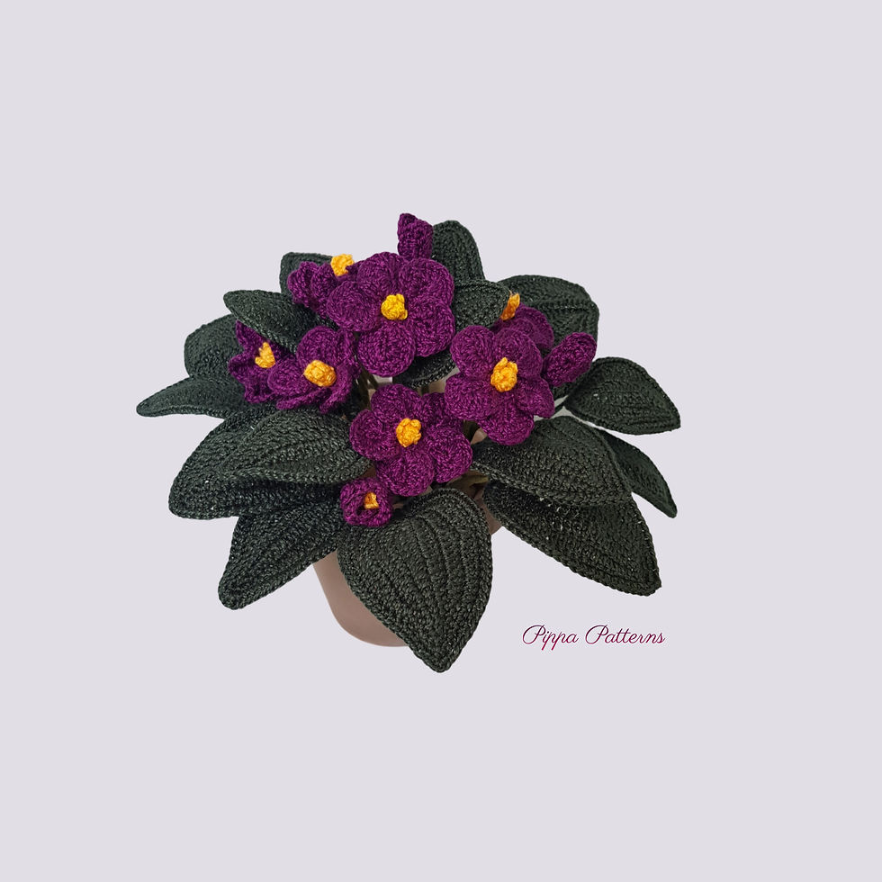African Violet