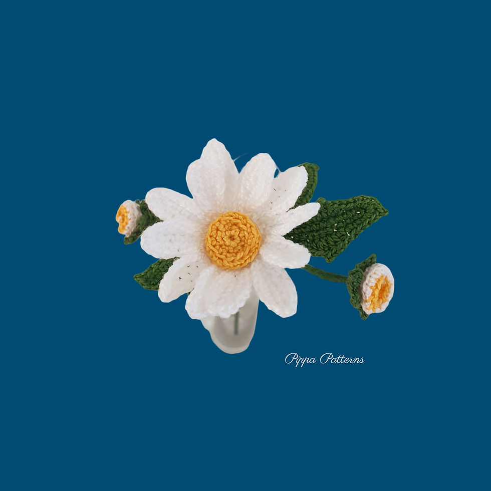 Thumbnail: Shasta Daisy