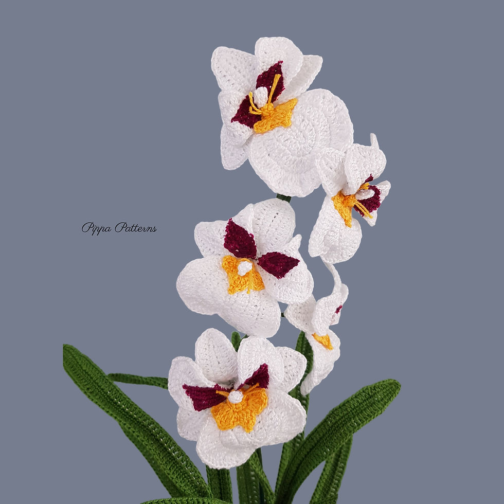 Thumbnail: Miltonia Orchid