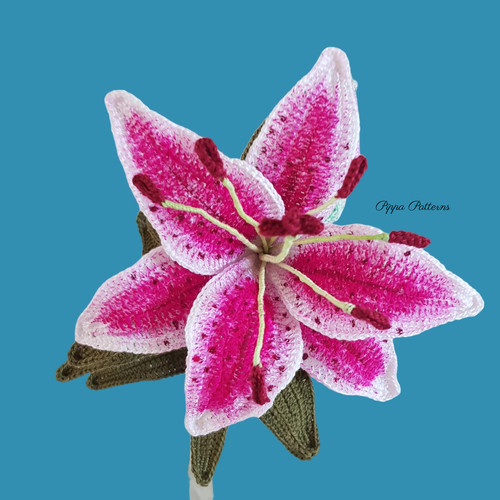 Stargazer Lily | Pippa Patterns