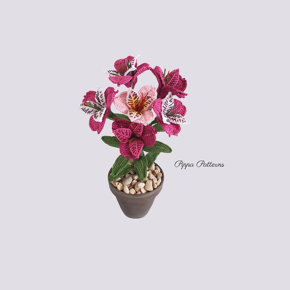Thumbnail: Alstromeria Inca Lily