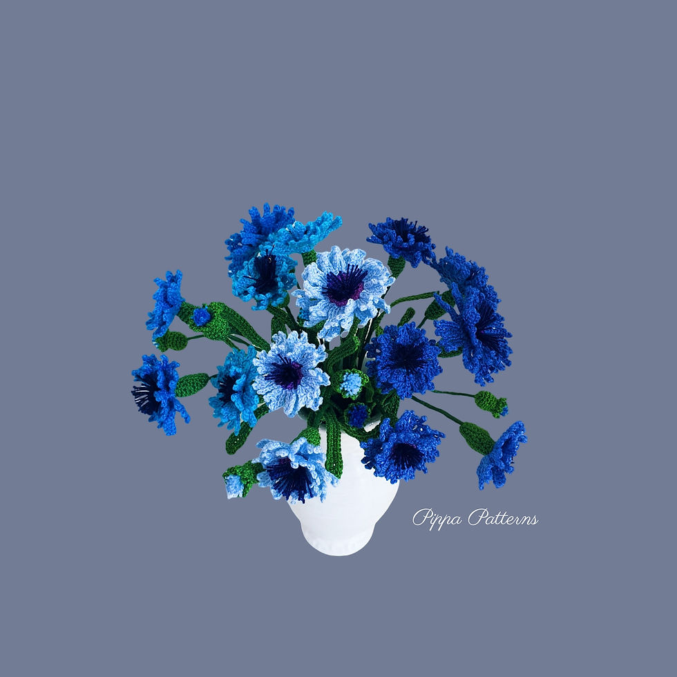Cornflower
