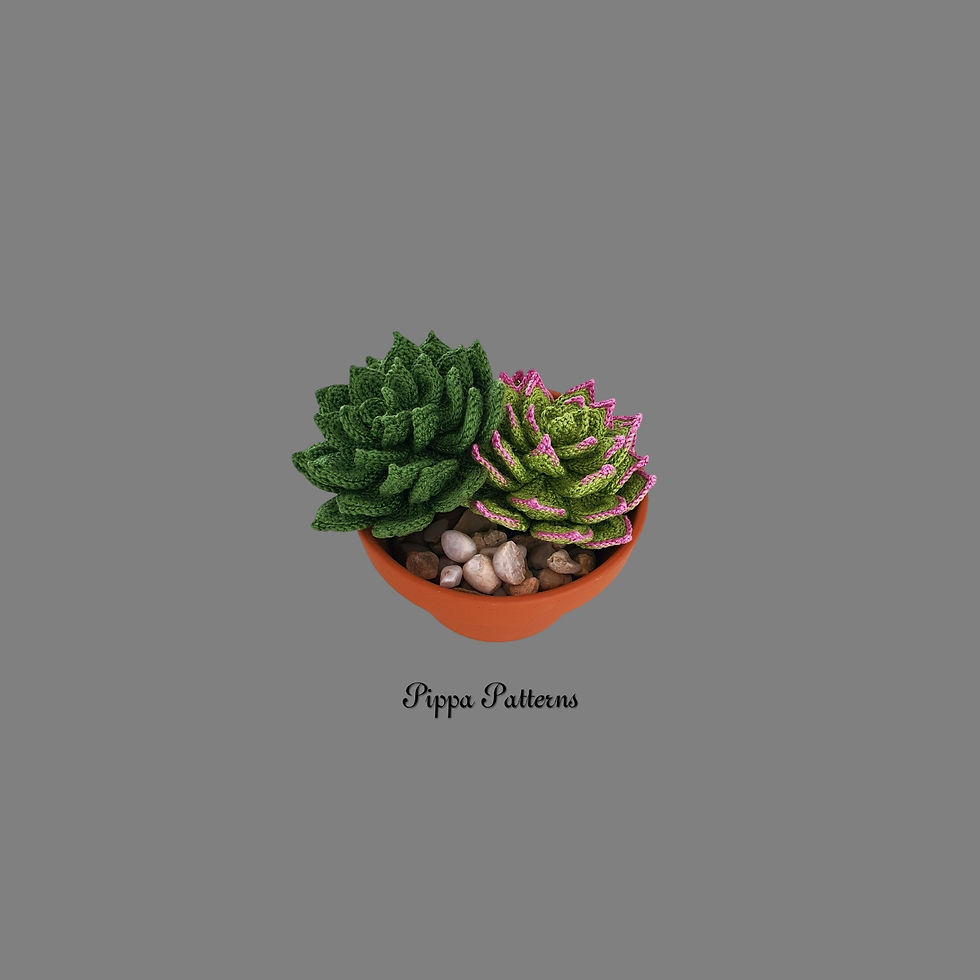 Thumbnail: Hen & Chicks Sempervivum Succulent