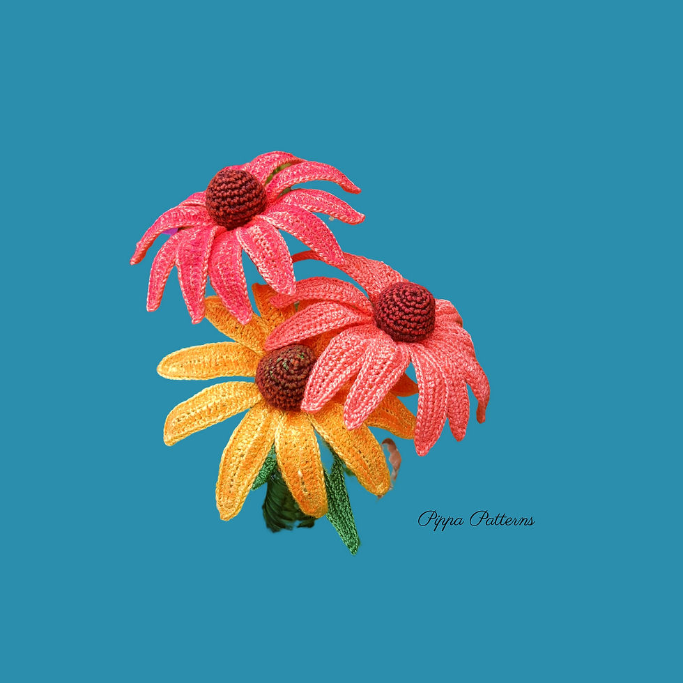 Cone Flower