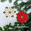 Thumbnail: Christmas Flower Decorations