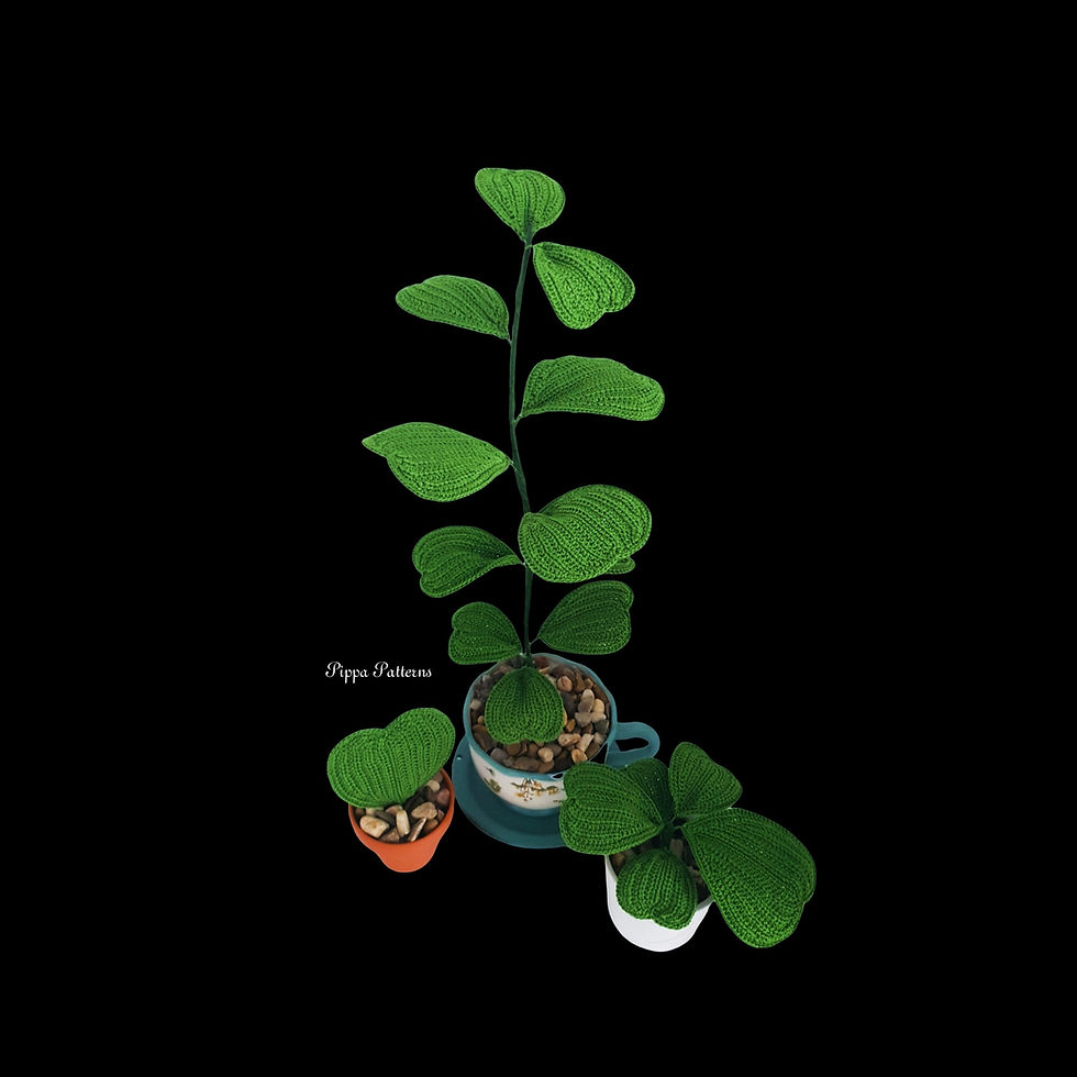 Thumbnail: Sweetheart Hoya Kerrii