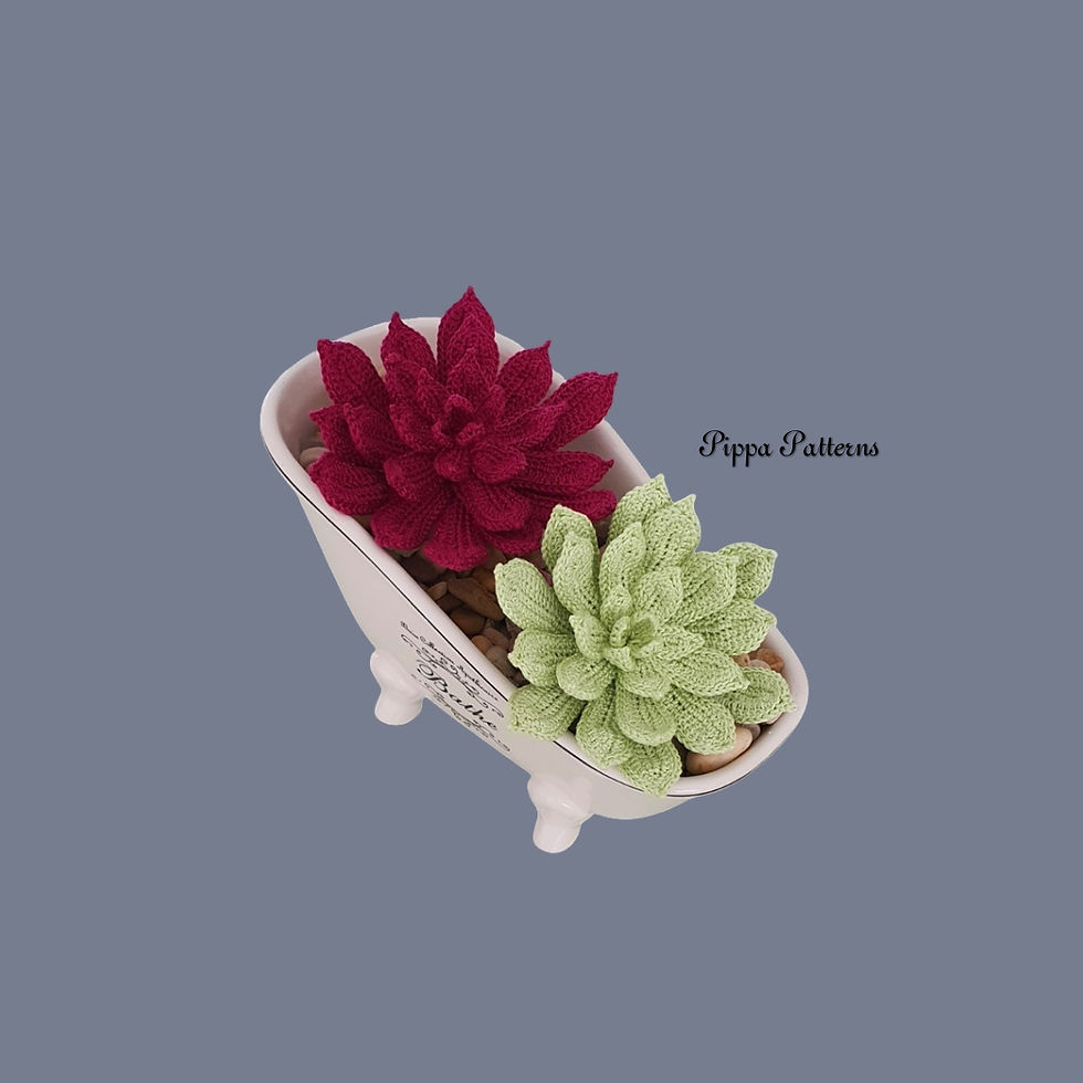 Thumbnail: Hen & Chicks Agavoides Succulent