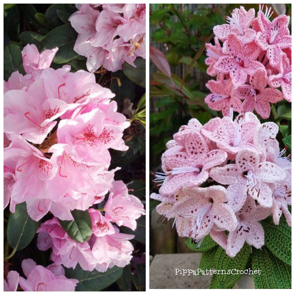 Thumbnail: Rhododendron