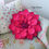 Thumbnail: Dahlia Cushion