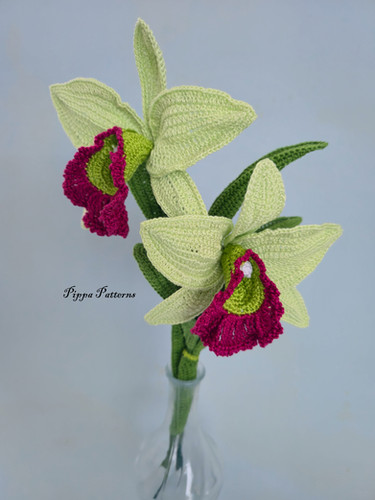 Cattleya Green Witch | Pippa Patterns