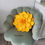 Thumbnail: Dahlia Cushion