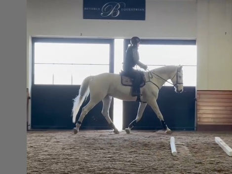 🌟 A/A Spotlight: Natalie & Tessie 🌟