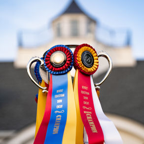 🕒Why Spring 2 Matters: The Final Run Before the Big Stage, or Just the Next One