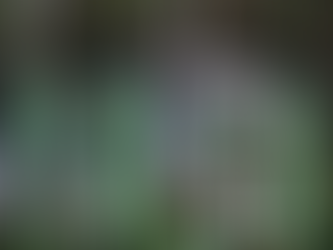 ✨ Three Seasoned Show Partners Ready for Onsite Leases and Showing This Summer✨