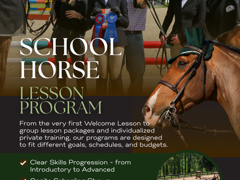 🌟Summer at Beverly: School Horse Lessons, Polo Matches, Summer Showing & More! 🌟