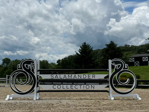 🌟 Sponsor Spotlight: The Salamander Collection - Proud Yearlong Portfolio Sponsor of Beverly Equestrian🌟