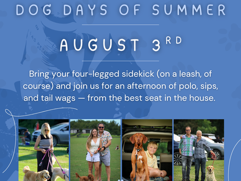 🐾Dog Days of Summer Polo: Bring Your Pup to Polo!🐾
